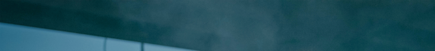 Vegane Proteinpulver